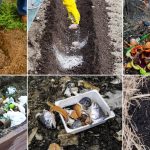 10 Soil Amendments to Put in Your Vegetable Planting Holes