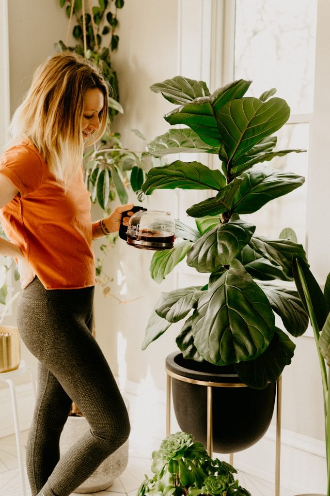 woman watering plant with coffee
