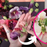 Create Your Own Vintage-Inspired Hollyhock Flower Doll With These DIY Instructions