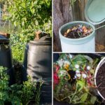 Stop! Don’t Make These 5 Vermicomposting Mistakes If You Want Successful Composting!