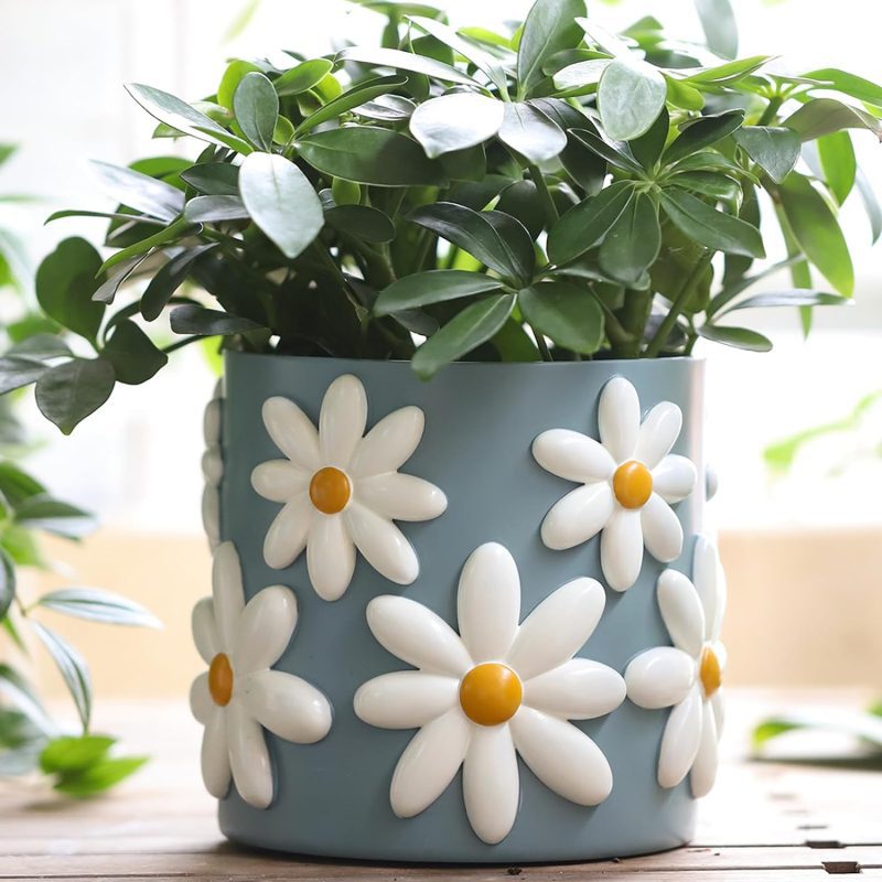 blue daisy houseplant pot with plant