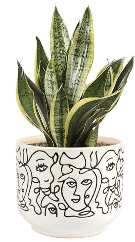 Gohearin Ceramic Planter with snake plant